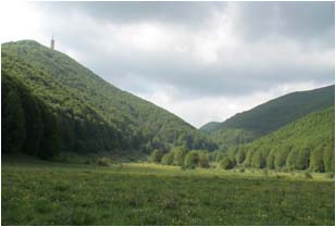 PIANO DI MINATORE
